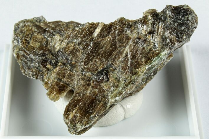 Raw Bronzite (Enstatite) Specimen - Austria #345035